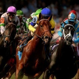 Derby s300