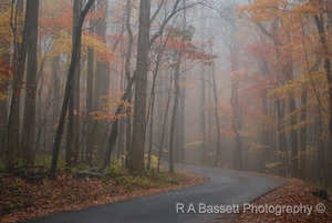 334 misty roaring fork road gsmnp tn rab s300