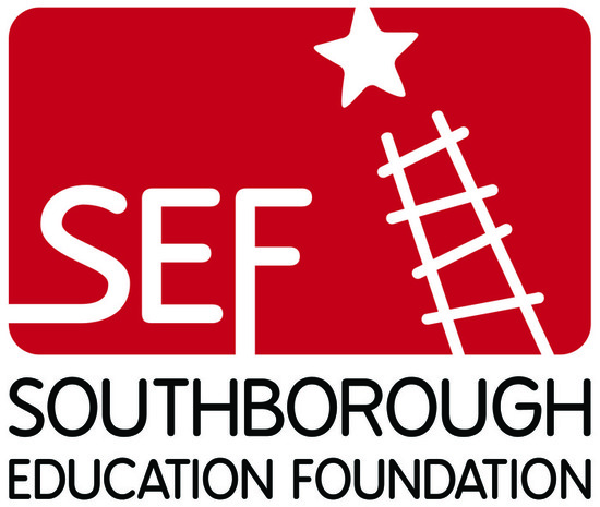 Sef logo lrg color s550