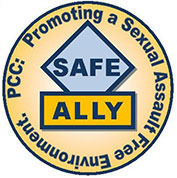 Ally shield s550