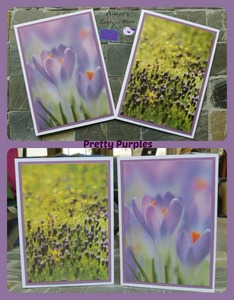 Cards more pretty purples be staci strong auction s300