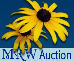 Mrw auction button image s550