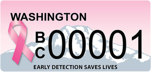 Bc plate 01 s300