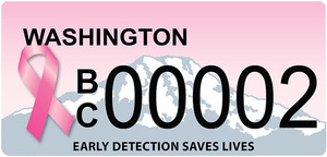 Bc plate 02 s300