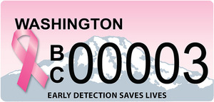 Bc plate 03 s300