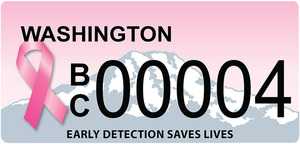 Bc plate 04 s300