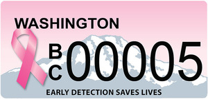 Bc plate 05 s300