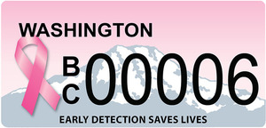 Bc plate 06 s300