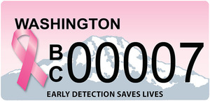 Bc plate 07 s300