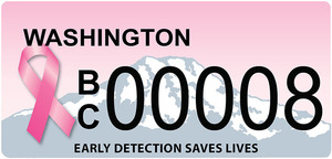Bc plate 08 s300