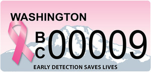 Bc plate 09 s300