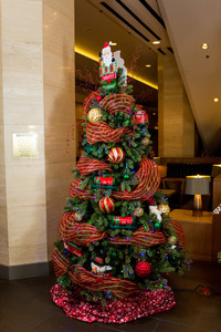 Holiday express s300