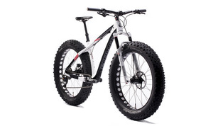 Fatback s300