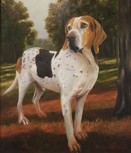 Reian williams beagle s300