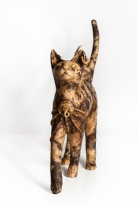 Small cat 002 s300