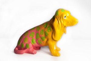 Basset 001 s300
