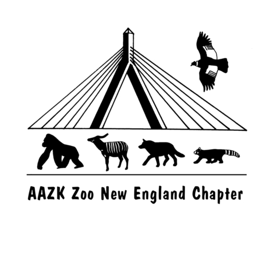 Aazk zne logo with text final s550