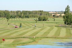 Bear creek golf s300