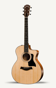 Taylor 114ce copy s300
