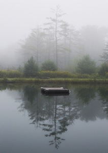 Hopson pond mist s300