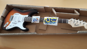 Beach boys guitar s300