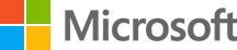 Microsoft gray s300