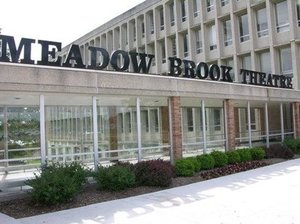 Meadow brook theatre s300