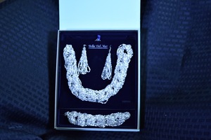 Dsc 0030 s300