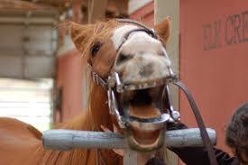 Dentistry s300