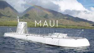 Maui s300