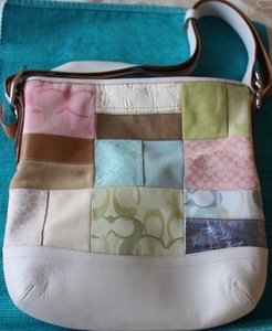 Coach pastel1 s300