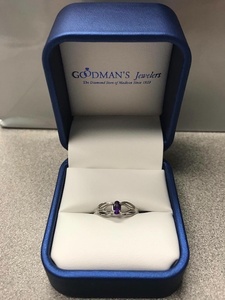 Goodmanring s300