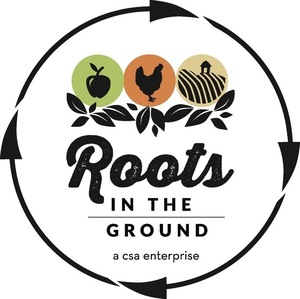 Roots s300