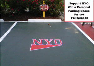 Nyo parking space 6 s300