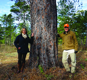 George and cyndi tree use for online auction s300