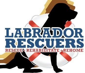 Lr logo 1 s550