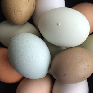 Eggs s300