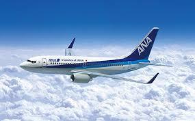 Ana image s550