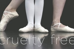 Ballet slippers s300
