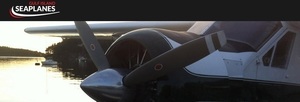 Gulfislandseaplanes s300